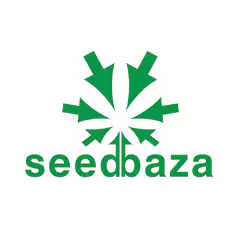 seedbaza.webp
